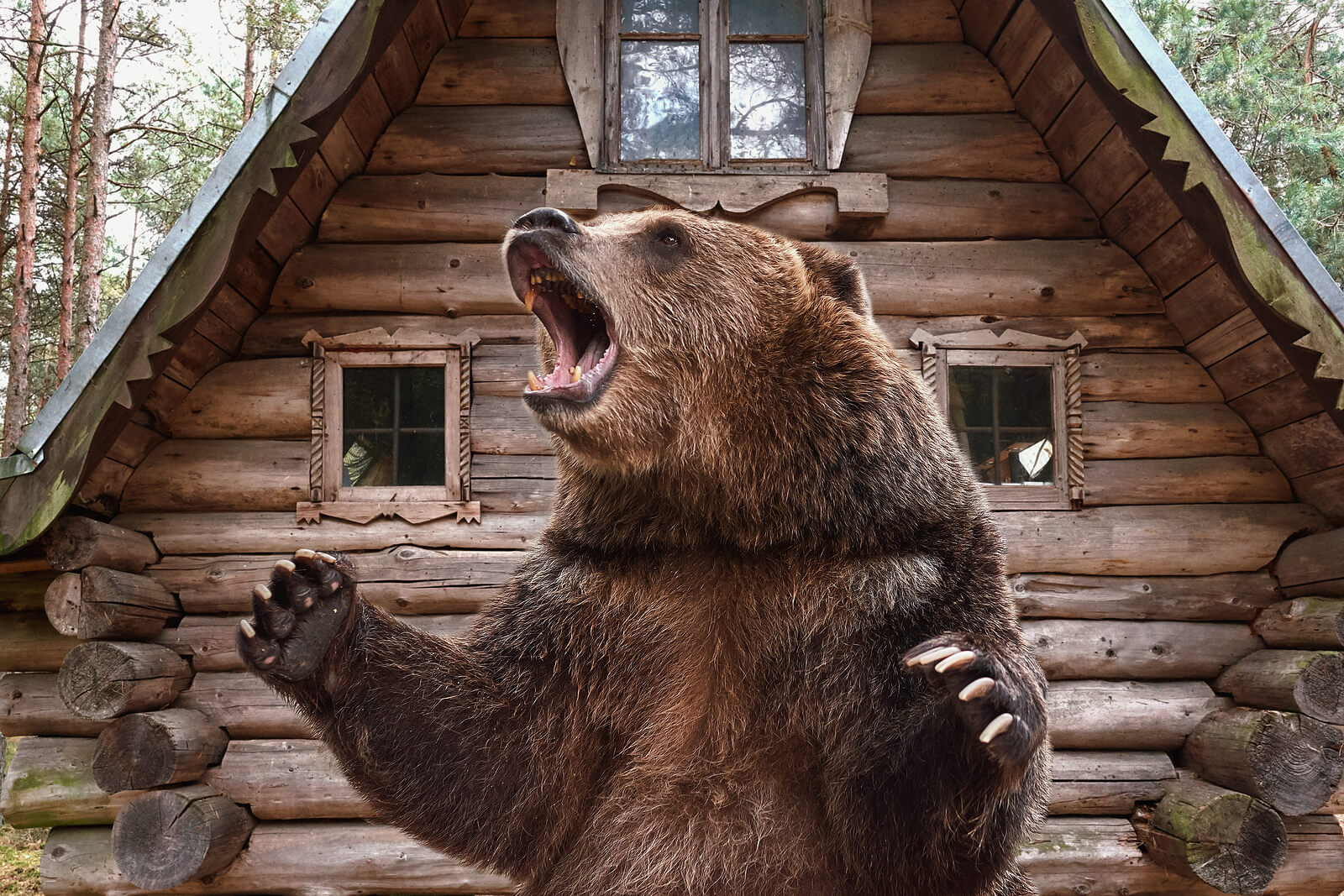 bear roaring in front of house